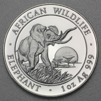 Silbermünze 1oz "Somalia Elefant 2009" 