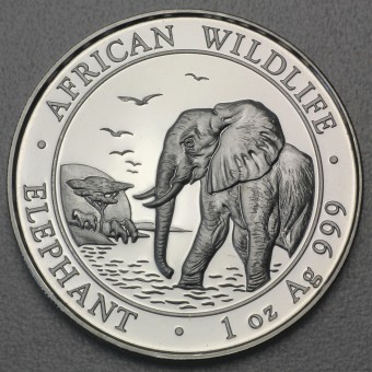 Silbermünze 1oz "Somalia Elefant 2010" 
