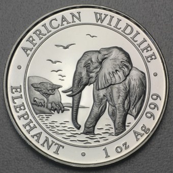 Silbermünze 1oz "Elefant" 2010 African Wildlife (Somalia)