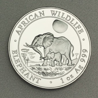 Silbermünze 1oz "Somalia Elefant 2011" 