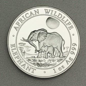 Silbermünze 1oz "Elefant" 2011 African Wildlife (Somalia)