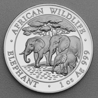 Silbermünze 1oz "Somalia Elefant 2013" 