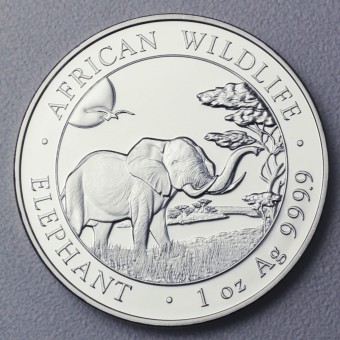 Silbermünze 1oz "Elefant" 2019 African Wildlife (Somalia)
