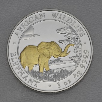 Silbermünze 1oz "Somalia Elefant 2019" gilded 