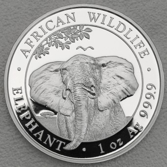 Silbermünze 1oz "Somalia Elefant 2021" 