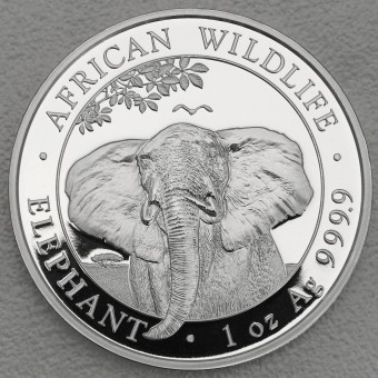 Silbermünze 1oz "Elefant" 2021 African Wildlife (Somalia)