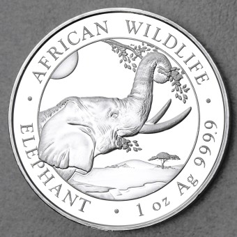 Silbermünze 1oz "Somalia Elefant 2023" 