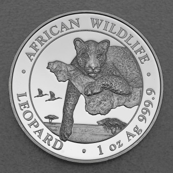 Silbermünze 1oz "Somalia Leopard 2020" African Wildlife Serie