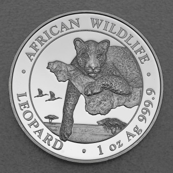 Silbermünze 1oz "Leopard" 2020 African Wildlife (Somalia)