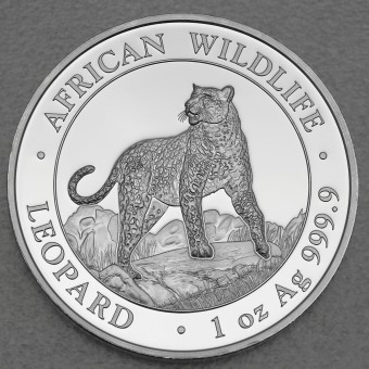Silbermünze 1oz "Leopard" 2022 African Wildlife (Somalia)