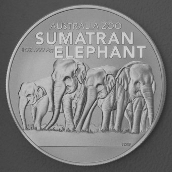 Silbermünze 1oz "Sumatra Elefant" 2022 (RAM) Australia Zoo