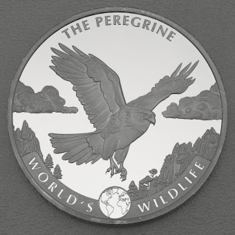 Silbermünze 1oz "Wanderfalke" 2024 World's Wildlife (Kongo)