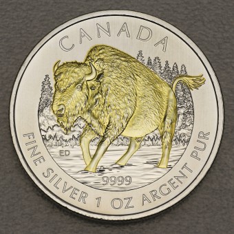 Silbermünze 1oz "Bison" 2013 (vergoldet) Wildlife Kanada (Kanada)