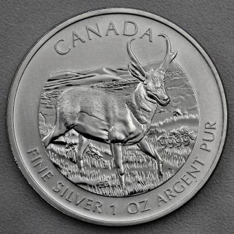 Silbermünze 1oz "Wildlife Kanada - Antilope 2013" 