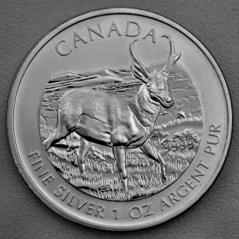 Silbermünze 1oz "Antilope" 2013 Wildlife Kanada (Kanada)