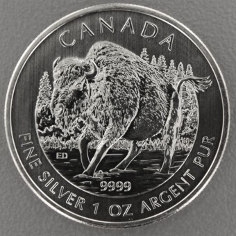 Silbermünze 1oz "Wildlife Kanada - Bison 2013" 
