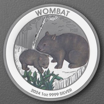 Silbermünze 1oz "Wombat" 2024 (koloriert) (Australien)