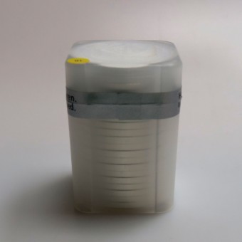 Silbermünze 20 x 1/4oz "Arche Noah" Tube aktueller Jahrgang (Armenien)