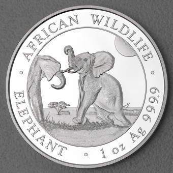 Silbermünze 20x 1oz "Somalia Elefant 2024", Tube 
