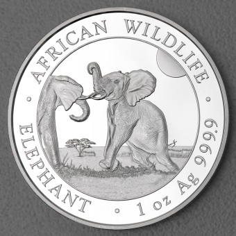 Silbermünze 20 x 1oz "Elefant" 2024 Tube African Wildlife (Somalia)