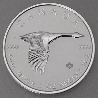 Silbermünze 2oz "Canada Goose" 2020 (Kanada)
