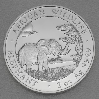 Silbermünze 2oz "Elefant" 2019 African Wildlife (Somalia)