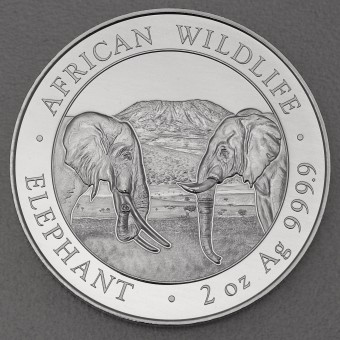 Silbermünze 2oz "Elefant" 2020 African Wildlife (Somalia)