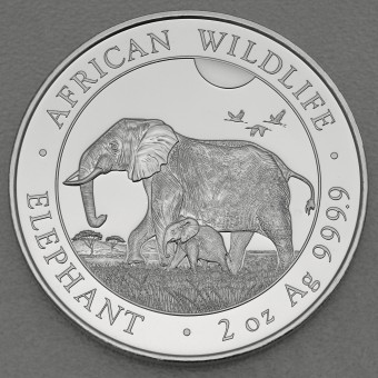 Silbermünze 2oz "Elefant" 2022 African Wildlife (Somalia)