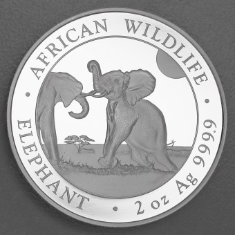 Silbermünze 2oz "Elefant" 2024 African Wildlife (Somalia)