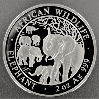 Silbermünze 2oz "Somalia Elefant 2008" 