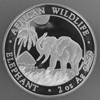 Silbermünze 2oz "Elefant" 2017 African Wildlife (Somalia)