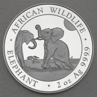 Silbermünze 2oz "Somalia Elefant" 2024 African Wildlife diff. (Somalia)