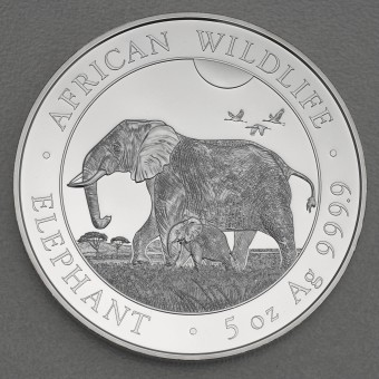 Silbermünze 5oz "Elefant" 2022 African Wildlife (Somalia)