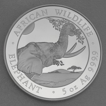 Silbermünze 5oz "Elefant" 2023 African Wildlife (Somalia)