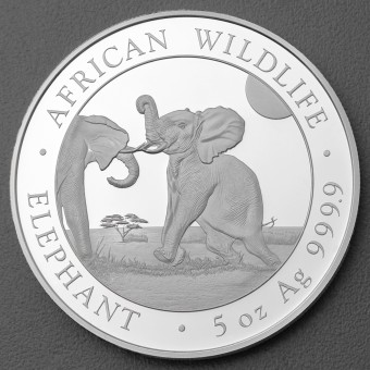 Silbermünze 5oz "Elefant" 2024 African Wildlife diff. (Somalia)