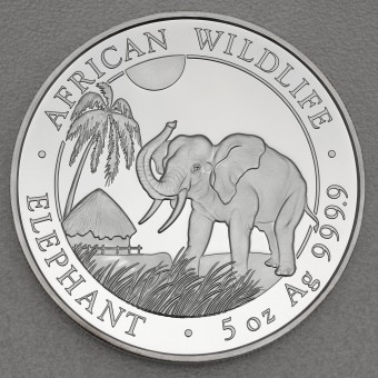 Silbermünze 5oz "Elefant" 2017 African Wildlife (Somalia)