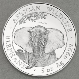 Silbermünze 5oz "Somalia Elefant 2021" 