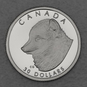 Platinmünze 1/10oz "Arctic Fox" 1993 Wildlife Canada (Kanada)