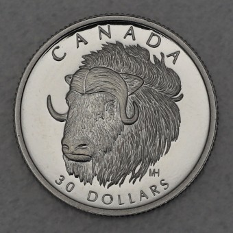 Platinmünze 1/10oz "Muskox" 1999 Wildlife Canada (Kanada)
