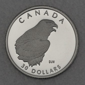 Platinmünze 1/10oz "Peregrine Falcon" 1996 Wildlife Canada (Kanada)