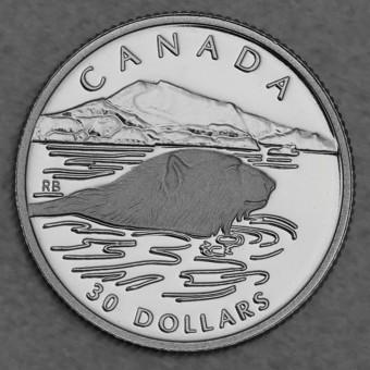 Platinmünze 1/10oz "Polar Bear" 1990 Wildlife Canada (Kanada)