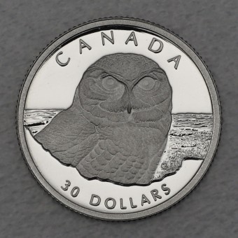 Platinmünze 1/10oz "Snowy Owl" 1991 Wildlife Canada (Kanada)