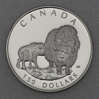 Platinmünze 1/2oz "Muskox" 1999 Wildlife Canada (Kanada)