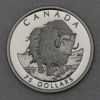 Platinmünze 1/4oz "Muskox" 1999 Wildlife Canada (Kanada)