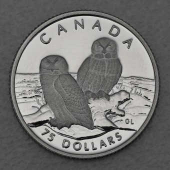 Platinmünze 1/4oz "Snowy Owl" 1991 Wildlife Canada (Kanada)