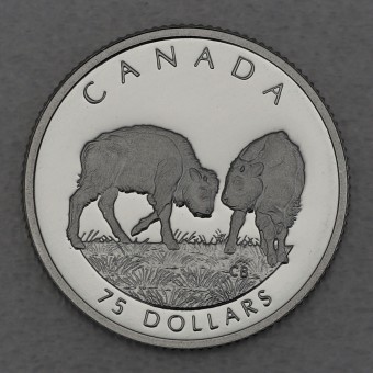 Platinmünze 1/4oz "Wood Bison" 1997 Wildlife Canada (Kanada)