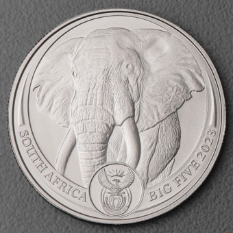 Platinmünze 1oz "Elefant" 2023 Big Five (Südafrika)