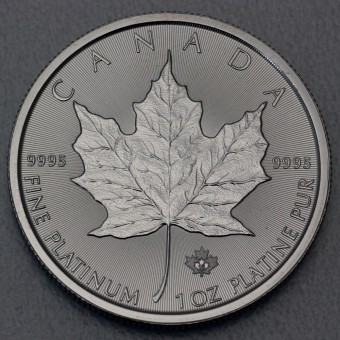 Platinmünze 1oz "Maple Leaf" 