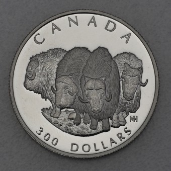 Platinmünze 1oz "Muskox" 1999 Wildlife Canada (Kanada)