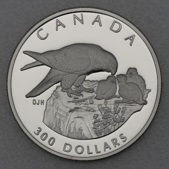 Platinmünze 1oz "Peregrine Falcon" 1996 Wildlife Canada (Kanada)